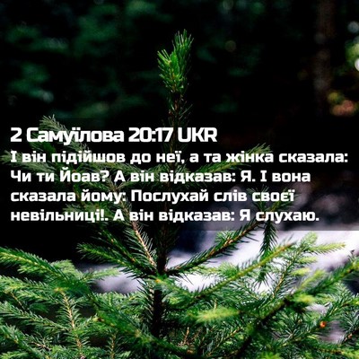 Picture 02 - 2 Самуїлова 20:17 UKR - І він підійшов до неї, а та - Bible Verse Picture