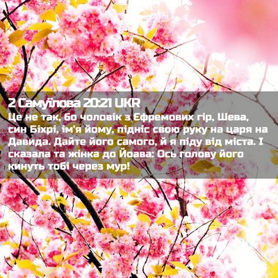 Picture 02 - 2 Самуїлова 20:21 UKR - Це не так, бо чоловік з - Bible Verse Picture