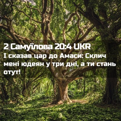 Picture 02 - 2 Самуїлова 20:4 UKR - І сказав цар до Амаси: - Bible Verse Picture