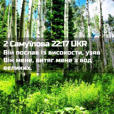 Picture 02 - 2 Самуїлова 22:17 UKR - Він послав із високости, - Bible Verse Picture