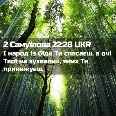 Picture 02 - 2 Самуїлова 22:28 UKR - І народ із біди Ти спасаєш, - Bible Verse Picture