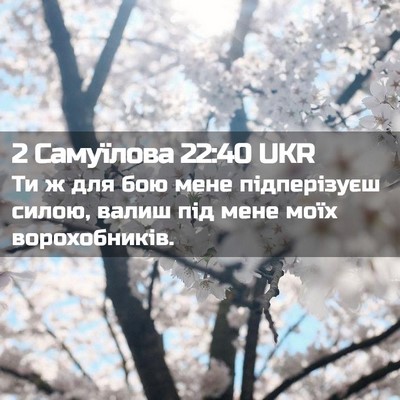 Picture 02 - 2 Самуїлова 22:40 UKR - Ти ж для бою мене - Bible Verse Picture