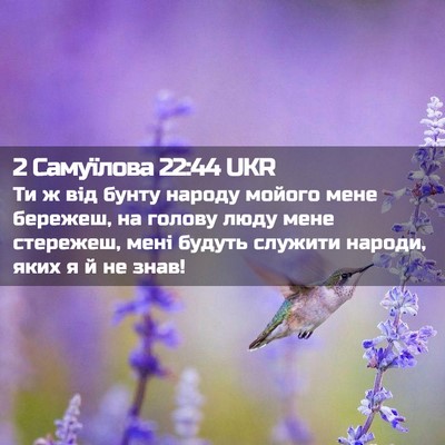 Picture 02 - 2 Самуїлова 22:44 UKR - Ти ж від бунту народу - Bible Verse Picture