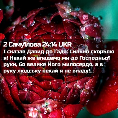 Picture 02 - 2 Самуїлова 24:14 UKR - І сказав Давид до Ґада: - Bible Verse Picture