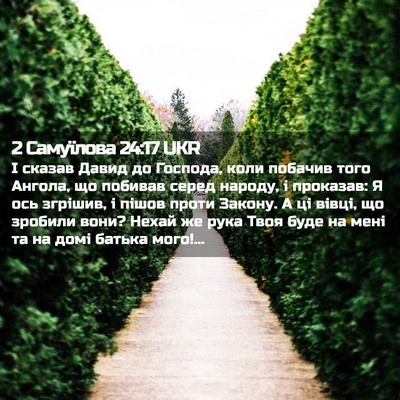 Picture 02 - 2 Самуїлова 24:17 UKR - І сказав Давид до Господа, - Bible Verse Picture