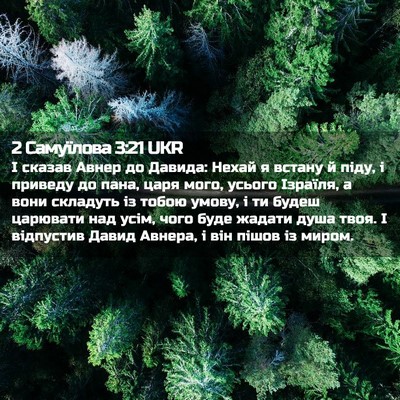 Picture 02 - 2 Самуїлова 3:21 UKR - І сказав Авнер до Давида: - Bible Verse Picture