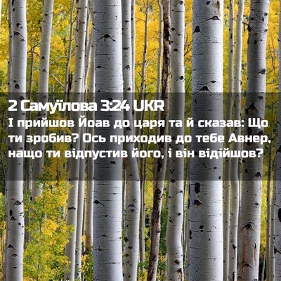 Picture 02 - 2 Самуїлова 3:24 UKR - І прийшов Йоав до царя та й - Bible Verse Picture