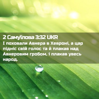 Picture 02 - 2 Самуїлова 3:32 UKR - І поховали Авнера в - Bible Verse Picture