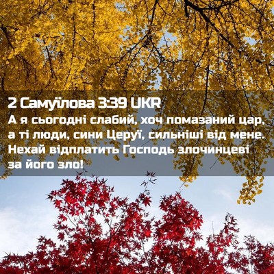 Picture 02 - 2 Самуїлова 3:39 UKR - А я сьогодні слабий, хоч - Bible Verse Picture