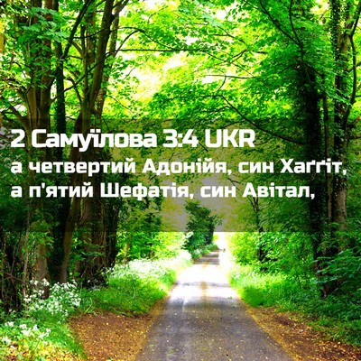 Picture 02 - 2 Самуїлова 3:4 UKR - а четвертий Адонійя, син - Bible Verse Picture