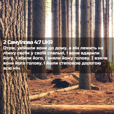 Picture 02 - 2 Самуїлова 4:7 UKR - Отож, увійшли вони до дому, - Bible Verse Picture