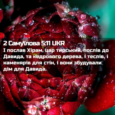 Picture 02 - 2 Самуїлова 5:11 UKR - І послав Хірам, цар - Bible Verse Picture
