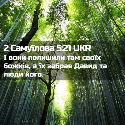 Picture 02 - 2 Самуїлова 5:21 UKR - І вони полишили там своїх - Bible Verse Picture