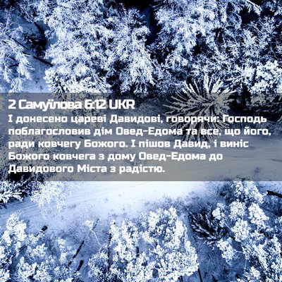 Picture 02 - 2 Самуїлова 6:12 UKR - І донесено цареві - Bible Verse Picture