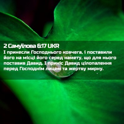 Picture 02 - 2 Самуїлова 6:17 UKR - І принесли Господнього - Bible Verse Picture