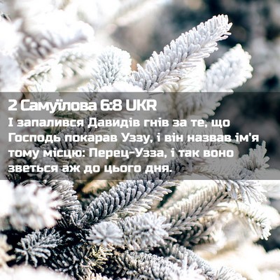Picture 02 - 2 Самуїлова 6:8 UKR - І запалився Давидів гнів - Bible Verse Picture