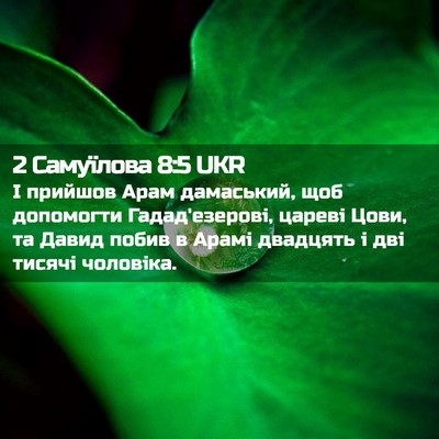 Picture 02 - 2 Самуїлова 8:5 UKR - І прийшов Арам дамаський, - Bible Verse Picture