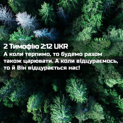 Picture 02 - 2 Тимофію 2:12 UKR - А коли терпимо, то будемо - Bible Verse Picture