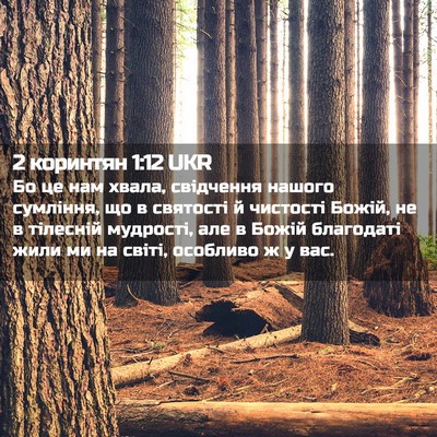 Picture 02 - 2 коринтян 1:12 UKR - Бо це нам хвала, свідчення - Bible Verse Picture