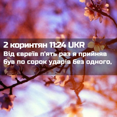 Picture 02 - 2 коринтян 11:24 UKR - Від євреїв п'ять раз я - Bible Verse Picture