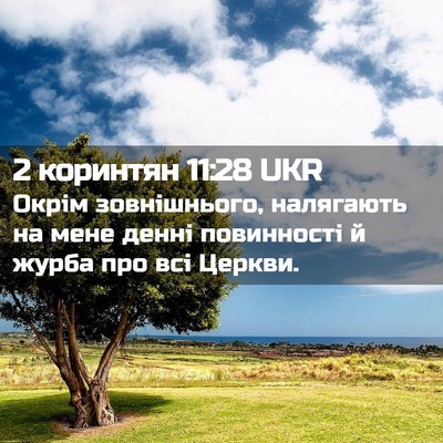 Picture 02 - 2 коринтян 11:28 UKR - Окрім зовнішнього, - Bible Verse Picture