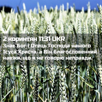 Picture 02 - 2 коринтян 11:31 UKR - Знає Бог і Отець Господа - Bible Verse Picture