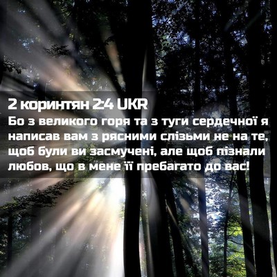 Picture 02 - 2 коринтян 2:4 UKR - Бо з великого горя та з - Bible Verse Picture