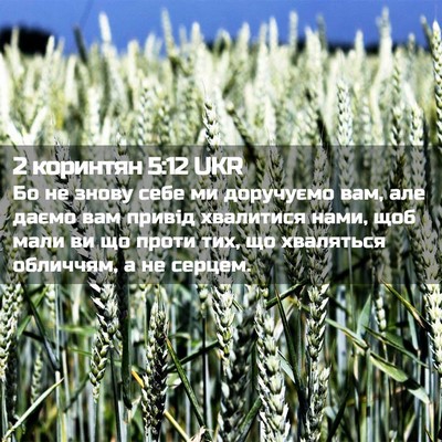 Picture 02 - 2 коринтян 5:12 UKR - Бо не знову себе ми - Bible Verse Picture