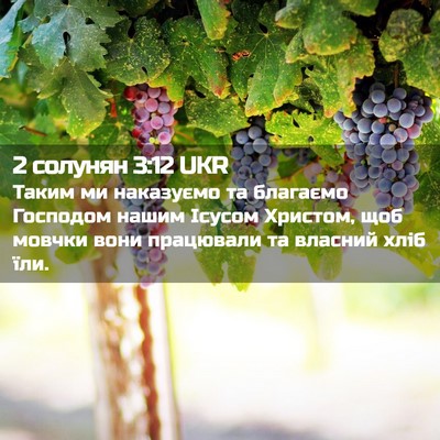 Picture 02 - 2 солунян 3:12 UKR - Таким ми наказуємо та - Bible Verse Picture