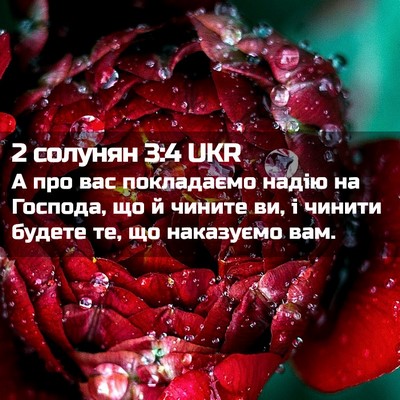 Picture 02 - 2 солунян 3:4 UKR - А про вас покладаємо надію - Bible Verse Picture