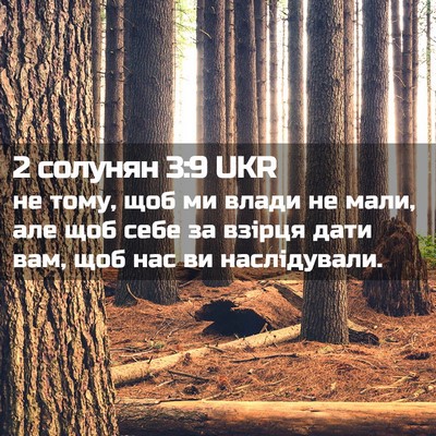 Picture 02 - 2 солунян 3:9 UKR - не тому, щоб ми влади не - Bible Verse Picture