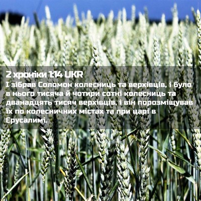 Picture 02 - 2 хроніки 1:14 UKR - І зібрав Соломон колесниць - Bible Verse Picture