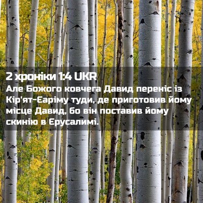 Picture 02 - 2 хроніки 1:4 UKR - Але Божого ковчега Давид - Bible Verse Picture