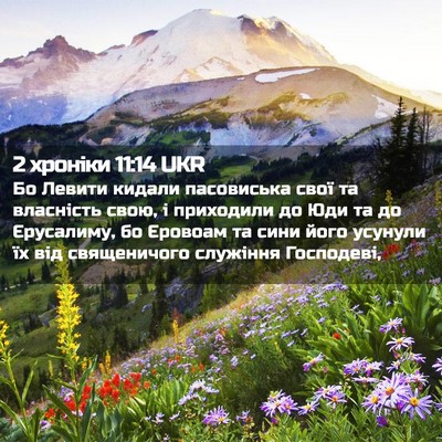 Picture 02 - 2 хроніки 11:14 UKR - Бо Левити кидали - Bible Verse Picture