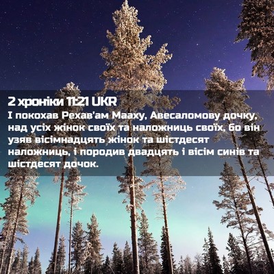 Picture 02 - 2 хроніки 11:21 UKR - І покохав Рехав'ам Мааху, - Bible Verse Picture