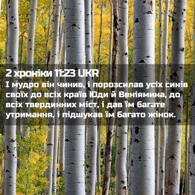Picture 02 - 2 хроніки 11:23 UKR - І мудро він чинив, і - Bible Verse Picture