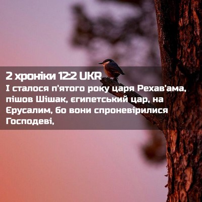 Picture 02 - 2 хроніки 12:2 UKR - І сталося п'ятого року царя - Bible Verse Picture