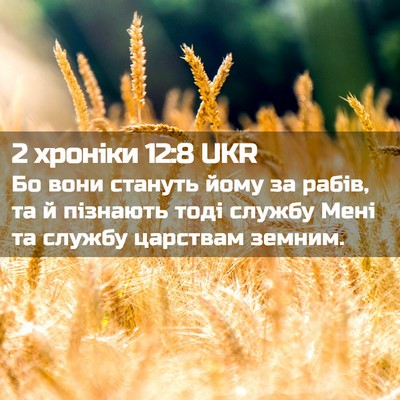 Picture 02 - 2 хроніки 12:8 UKR - Бо вони стануть йому за - Bible Verse Picture