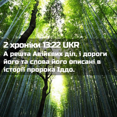 Picture 02 - 2 хроніки 13:22 UKR - А решта Авійєвих діл, і - Bible Verse Picture