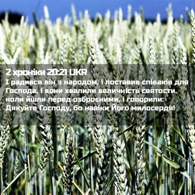 Picture 02 - 2 хроніки 20:21 UKR - І радився він з народом, і - Bible Verse Picture
