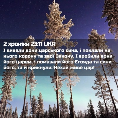 Picture 02 - 2 хроніки 23:11 UKR - І вивели вони царського - Bible Verse Picture