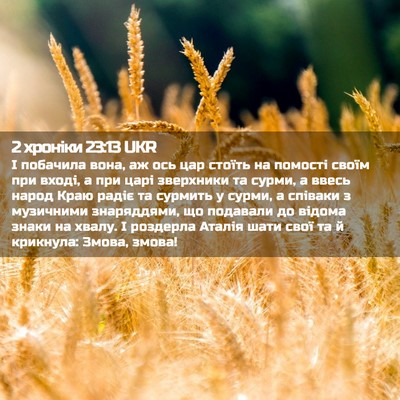 Picture 02 - 2 хроніки 23:13 UKR - І побачила вона, аж ось цар - Bible Verse Picture