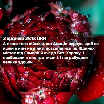 Picture 02 - 2 хроніки 25:13 UKR - А люди того війська, що - Bible Verse Picture