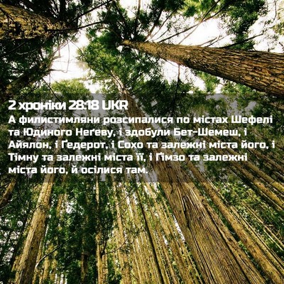 Picture 02 - 2 хроніки 28:18 UKR - А филистимляни - Bible Verse Picture
