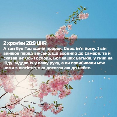 Picture 02 - 2 хроніки 28:9 UKR - А там був Господній пророк, - Bible Verse Picture