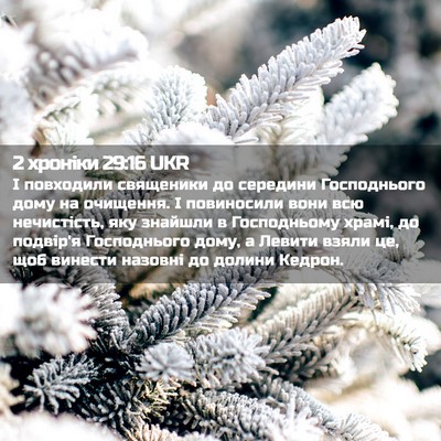 Picture 02 - 2 хроніки 29:16 UKR - І повходили священики до - Bible Verse Picture