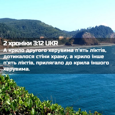 Picture 02 - 2 хроніки 3:12 UKR - А крило другого херувима - Bible Verse Picture