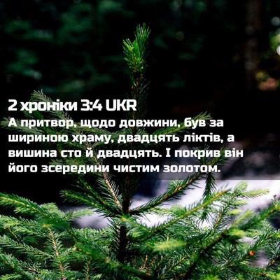 Picture 02 - 2 хроніки 3:4 UKR - А притвор, щодо довжини, - Bible Verse Picture