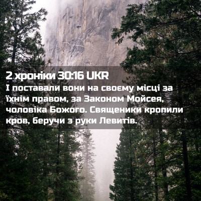 Picture 02 - 2 хроніки 30:16 UKR - І поставали вони на своєму - Bible Verse Picture