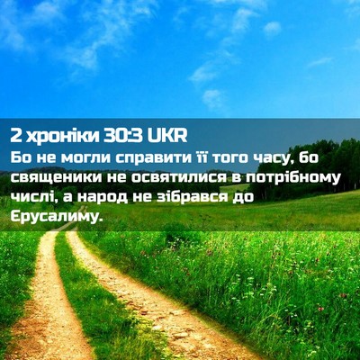 Picture 02 - 2 хроніки 30:3 UKR - Бо не могли справити її - Bible Verse Picture